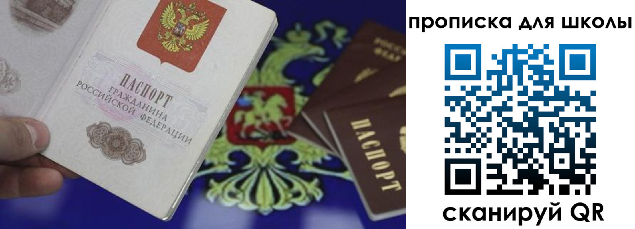 прописка в квартире в Соколе
